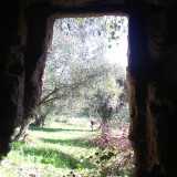L'ingresso rettangolare della dimora: sullo sfondo, gli ulivi del parco